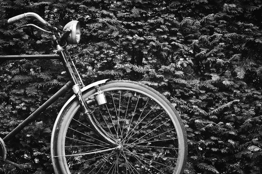 locals|31|f31|f32|32|f34|34|f33|35