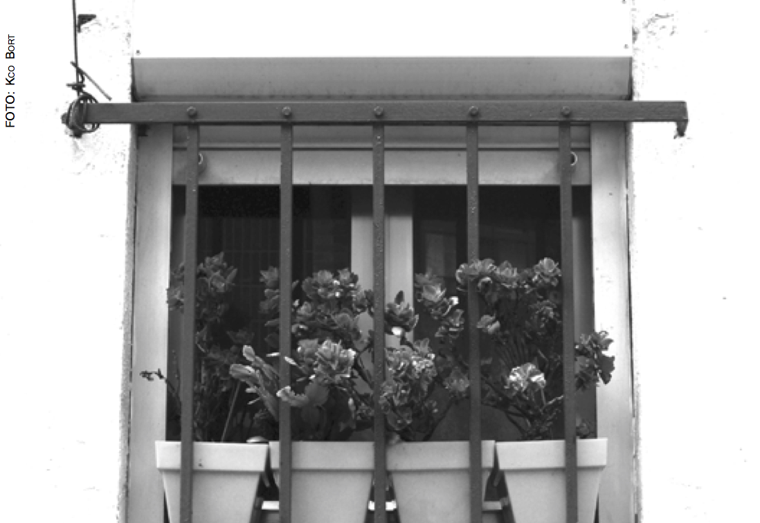 monedes_locals|nexe38_3|nexe38_monedes